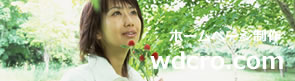 z[y[W˗wdcro.com